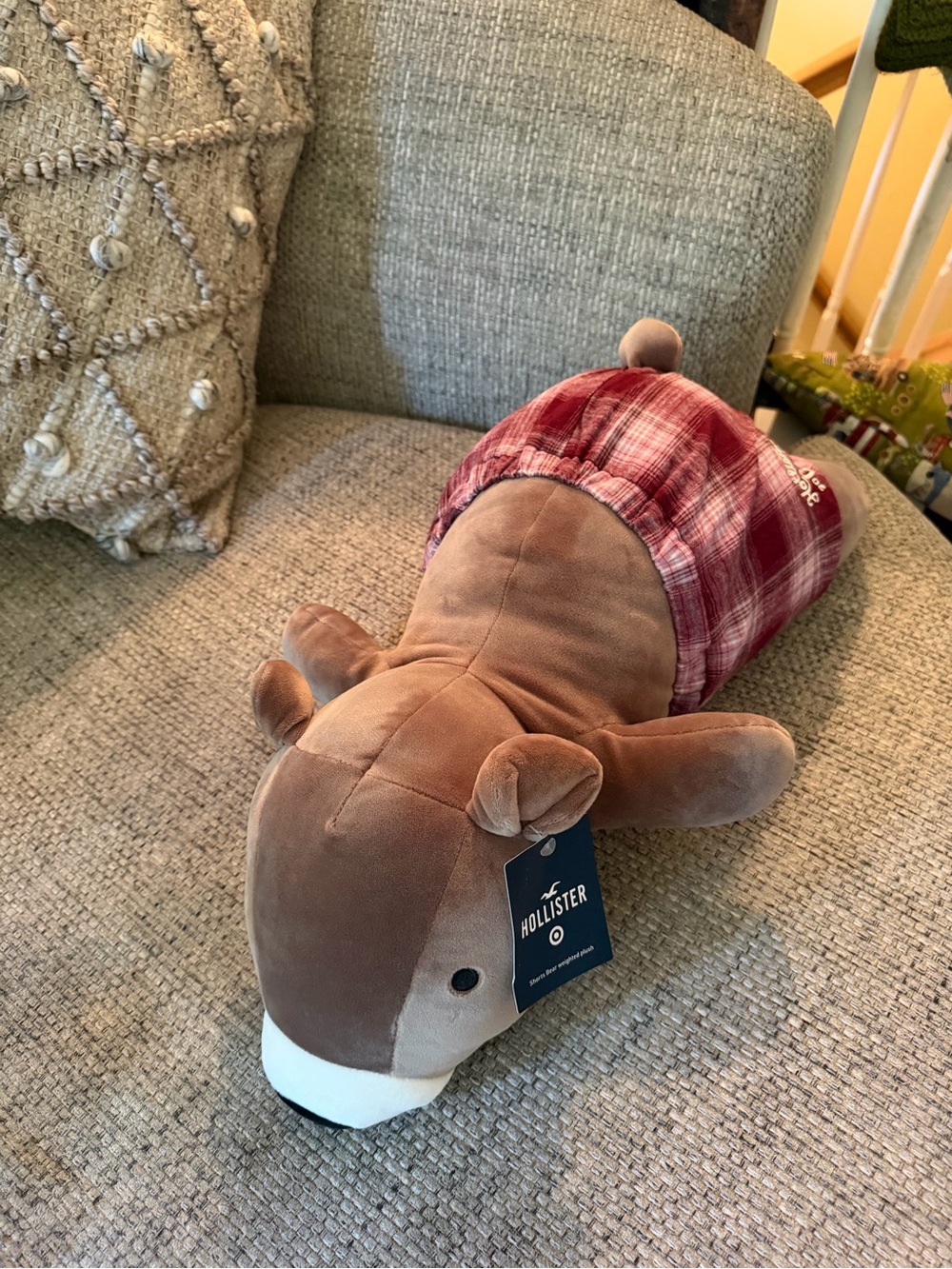 NWT Hollister Target Boxer Short Bear Weighted Plush Throw Pillow